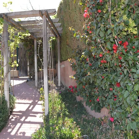 بيت للعطل De Ensueno Torroella de Montgrí