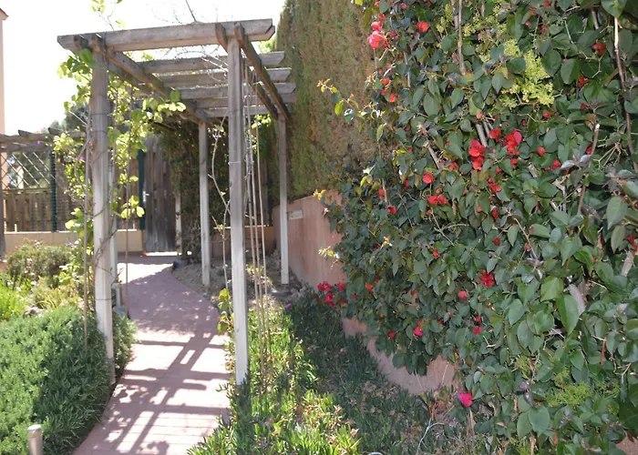 De Ensueno Tatil Evi